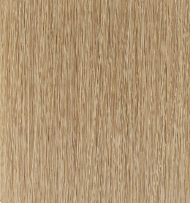 #NC1001 | role:product